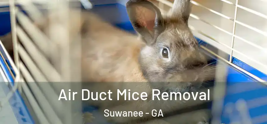  Air Duct Mice Removal Suwanee - GA