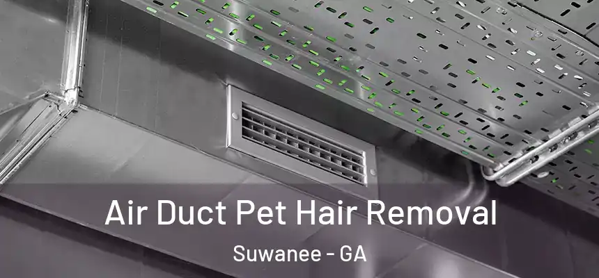  Air Duct Pet Hair Removal Suwanee - GA