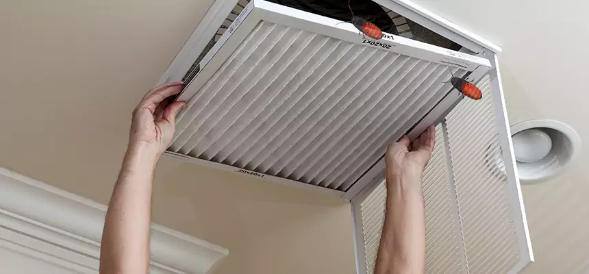 Our Insect Removal from Air Ducts Services in Suwanee, GA