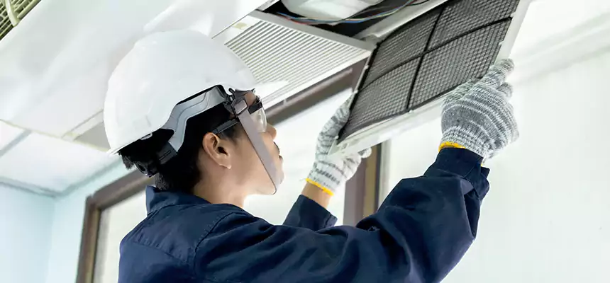 Our Mold & Mildew Removal from Air Ducts Services in Suwanee, GA