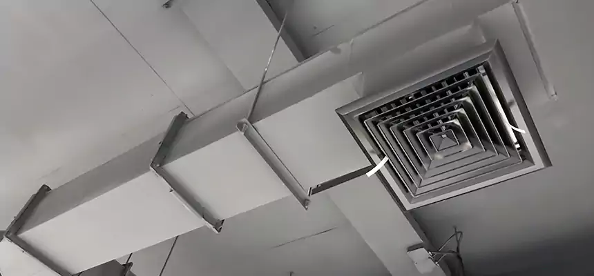 Our Rodent Droppings In Vents Services in Suwanee, GA