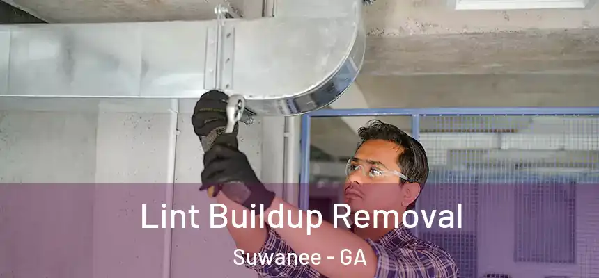  Lint Buildup Removal Suwanee - GA