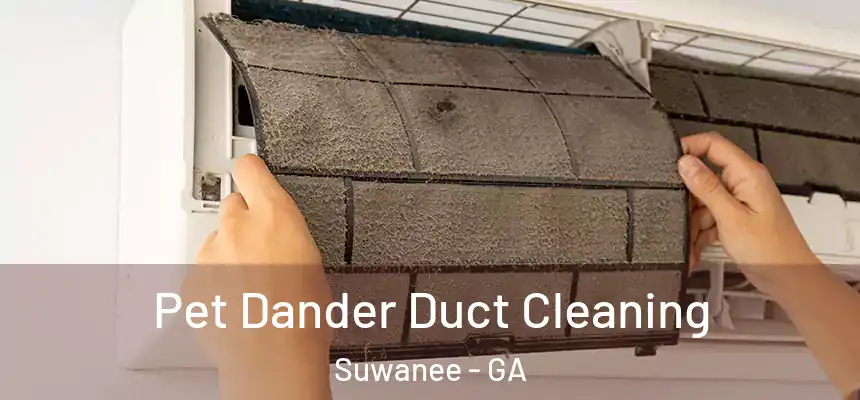 Pet Dander Duct Cleaning Suwanee - GA