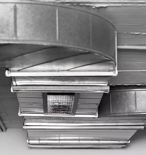 Professional Air Duct Pet Hair Removal in Suwanee, GA