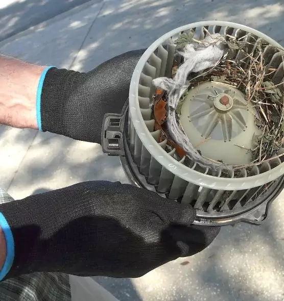 About Air Duct Rat Removal in Suwanee, GA