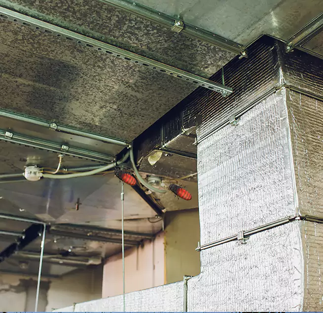 Why Homeowners & Businesses Trust Us in Suwanee, GA?