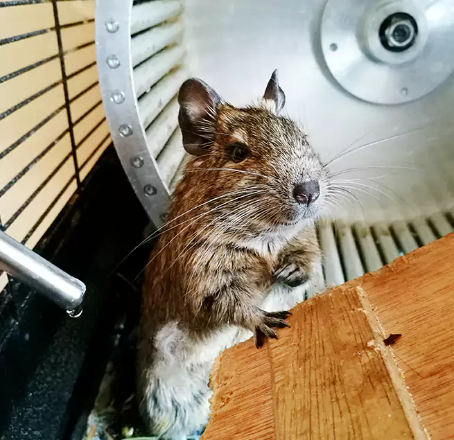 Why Homeowners & Businesses Trust Us Suwanee, GA